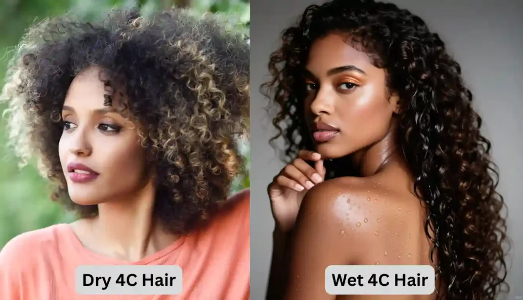 Side-by-side comparison showing dry 4c hair with voluminous, coily texture on the left, and wet 4c hair with elongated, defined curls on the right — both on Black women with glowing skin, illustrating how moisture transforms 4c curl pattern.”